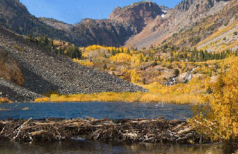 Lundy Canyon in Fall