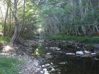 Hollow Tree Creek (South Fork Eel tributary)” ; 