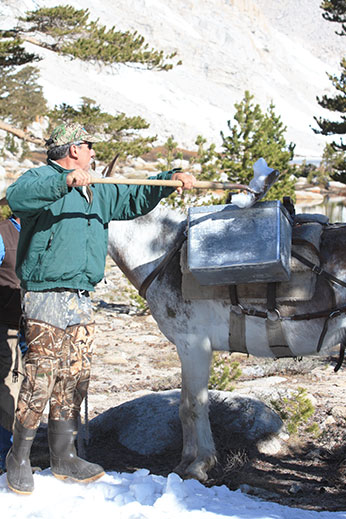 Cottonwood Lakes golden Trout Packing