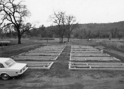 rows small in-ground ponds