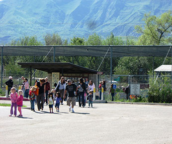 adults and children walking entering hatchery