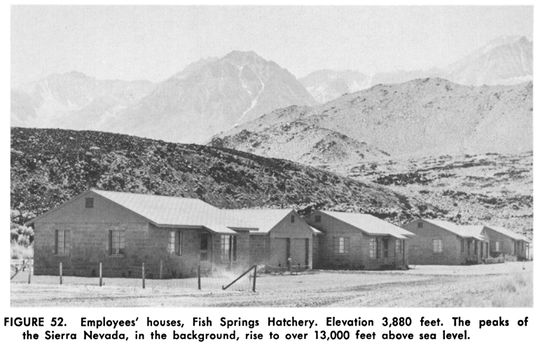 Employees' houses, Fish Springs Hatchery. Elevation 3,880 feet. The peaks of the Sierra Nevada, in the background, rise to over 13,000 feet above sea level.