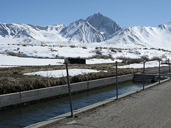 Hot Creek Hatchery raceway