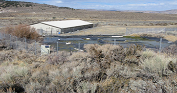Hot Creek Hatchery (lower section)