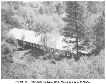 Fall Creek Hatchery, 1935. Photo by J.H. Wales