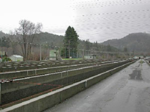 Mad River Hatchery Raceways