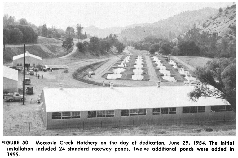 FIGURE 50. Moccasin Creak Hatchery on the day of dedication, June 29, 1954. The initial installation included 24 standard raceway ponds. Twelve additional ponds were added in 1955. (view of buildings, roads and ponds)