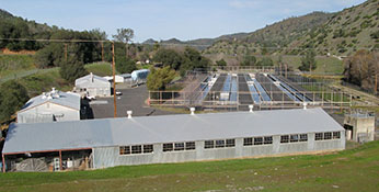view of hatchery buildings, raceway ponds with hills sloping up all around