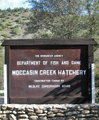 Moccasin Creek Hatchery sign