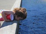 A little girl feeing fish