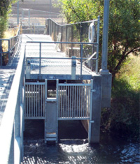 Fish Ladder