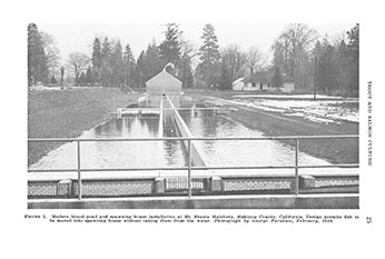 Mt Shasta Hatchery 1958