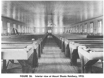 Mt Shasta Hatchery 1915
