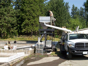 Loading a truck for stocking