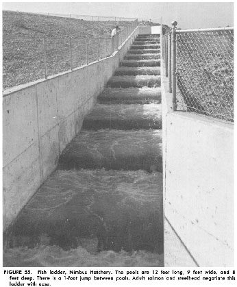 Nimbus weir and ladder circa 1955
