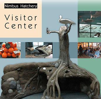 Nimbus Hatchery Visitor Center photos