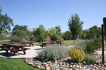 picnic tables on cement pad beside shrubs