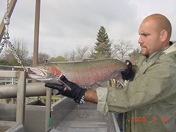 staff holding the fish