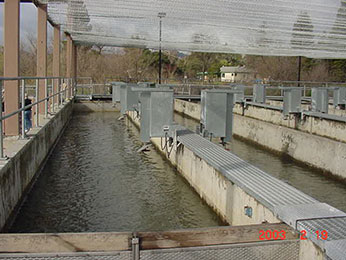 long narrow cement ponds