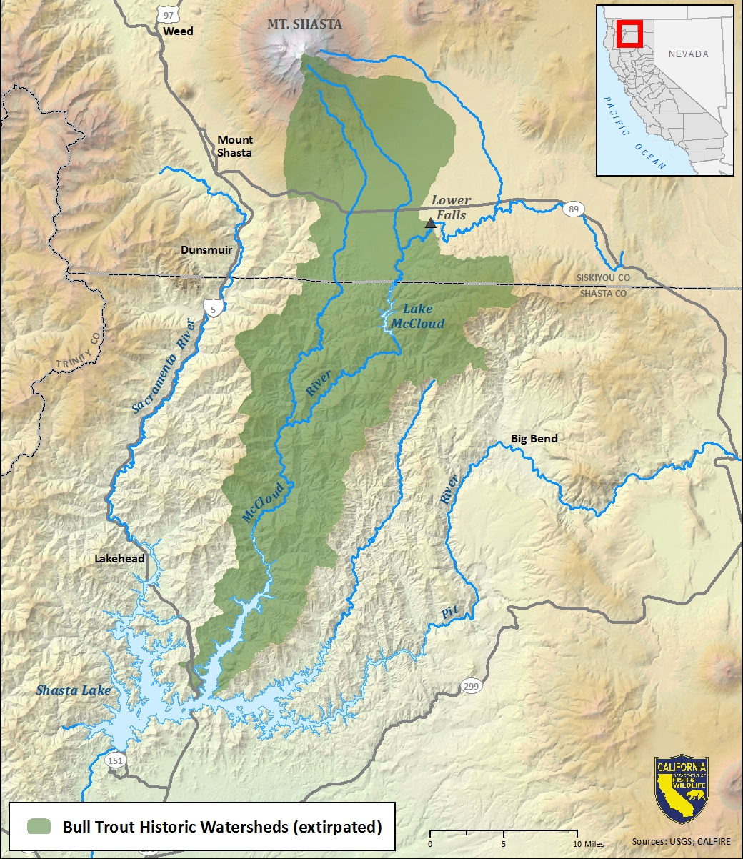 Map of bull trout historic watersheds - click to enlarge in new window