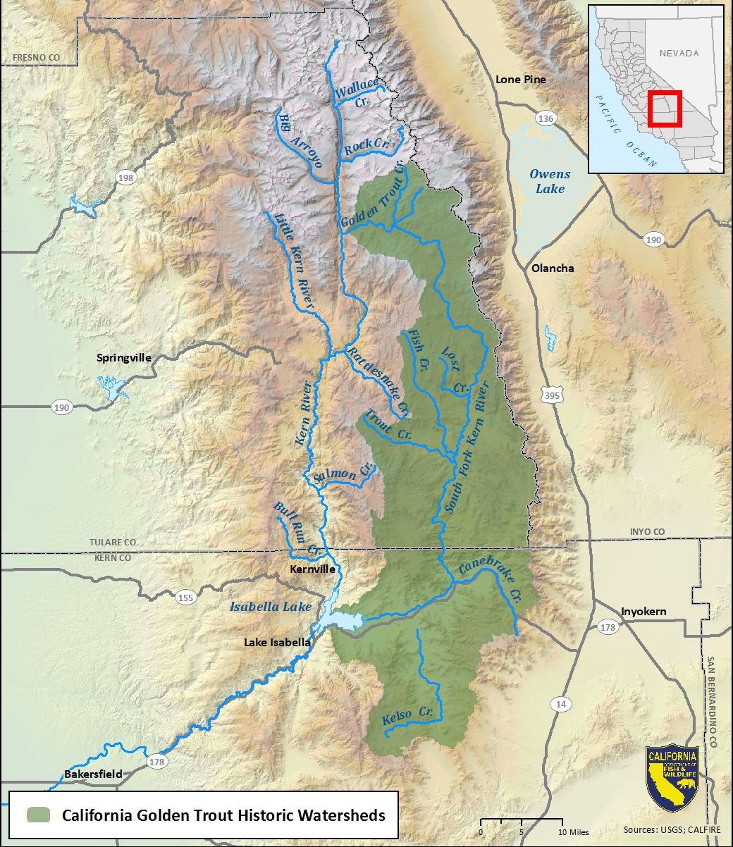 Map of California golden trout historic watersheds - click to enlarge in new window