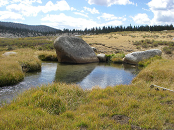 a creek pooling in a meadow among large rocks