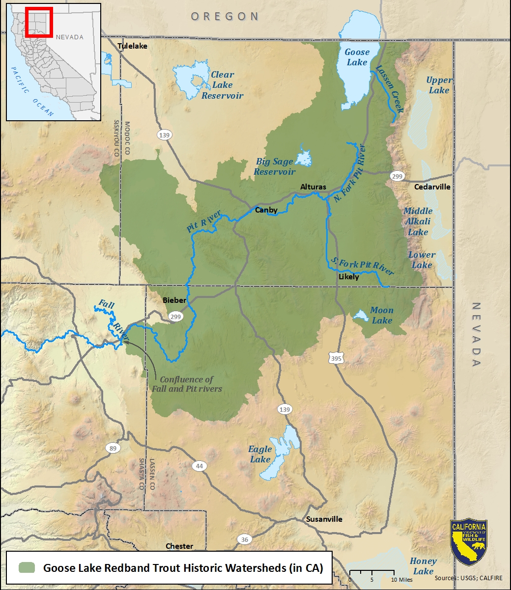 Map of Goose Lake redband trout historic watersheds-link opens in new window