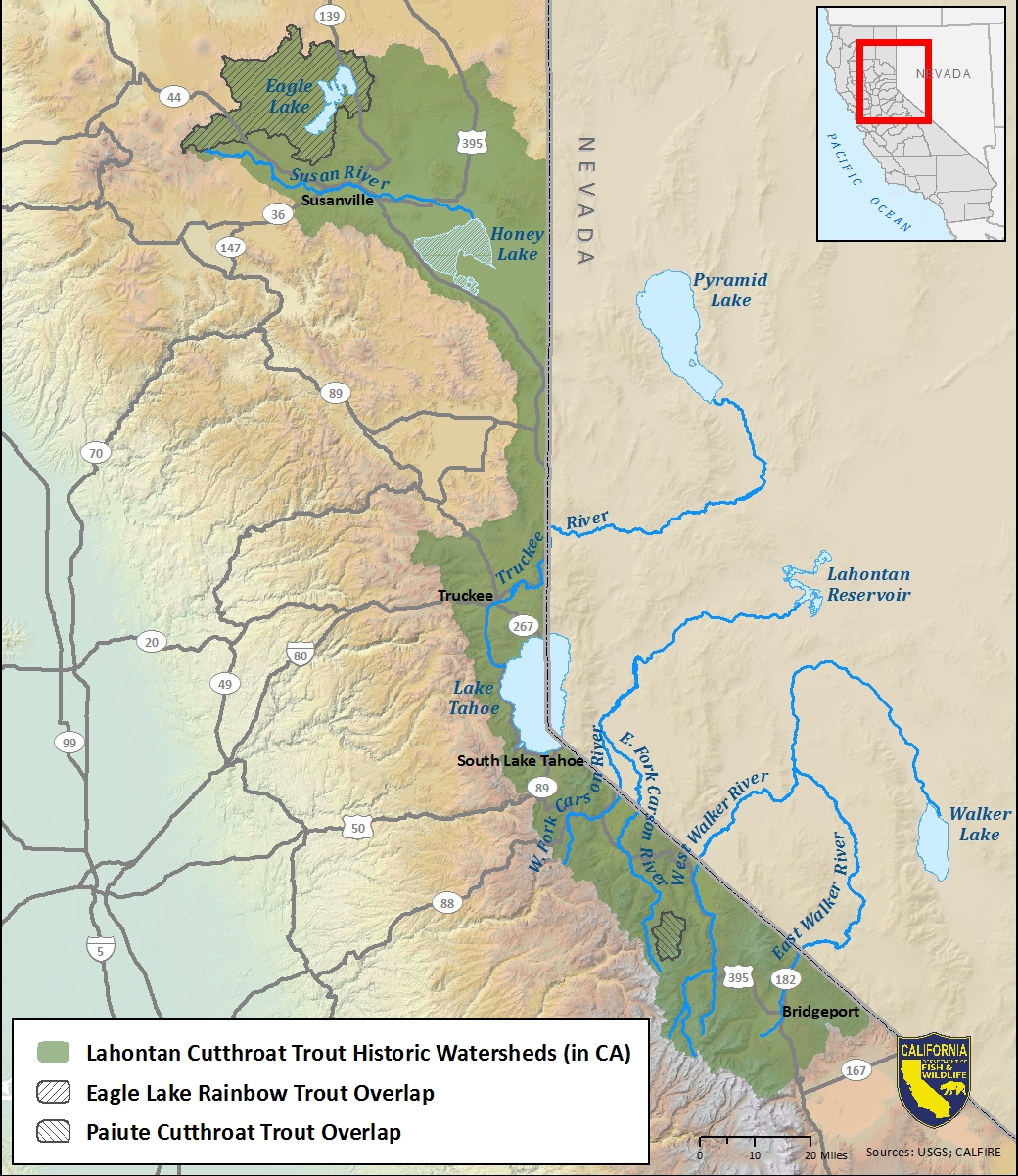 Map of Lahontan cutthroat trout historic watersheds-link opens in new window