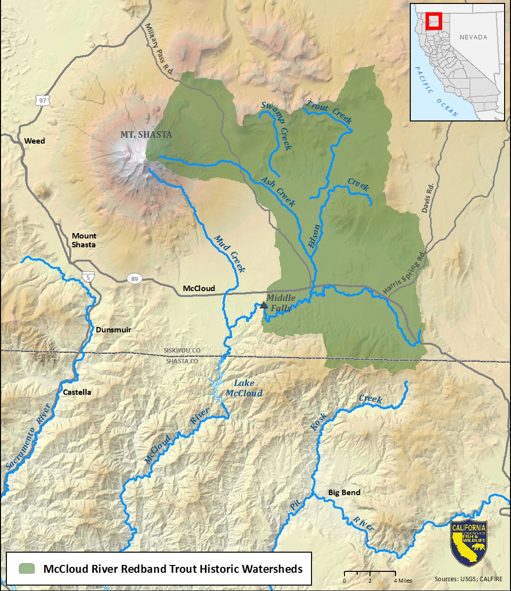 Map of McCloud River redband trout historic watersheds-link opens in new window