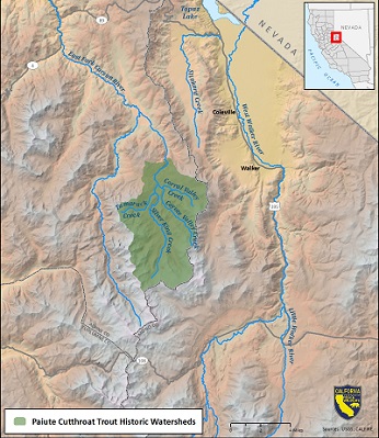 Map of Paiute cutthroat trout historic watersheds - click to enlarge in new window