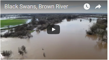 aerial view of broad muddy river - link opens video in new window