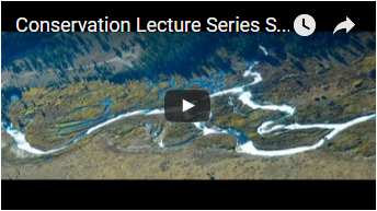 aerial view of river winding near forest