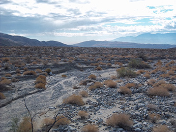 desert wash