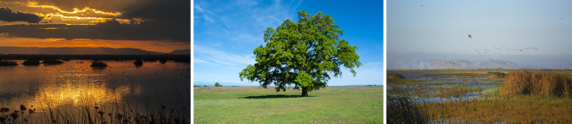 photos of various habitat types