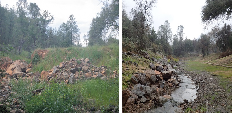 Failed dam removal and channel restoration