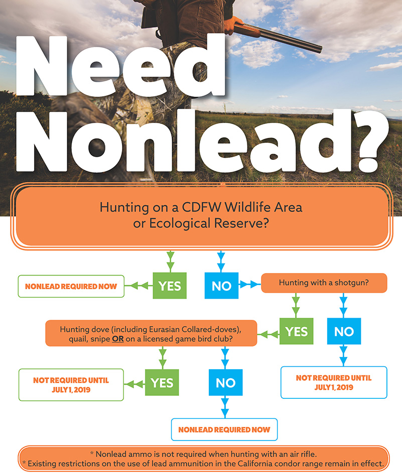 flow chart based on text provided in 'Phase 2' language above