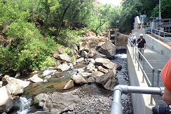 Battle Creek Reintroduction Photo - CDFW HMcIntire 2015