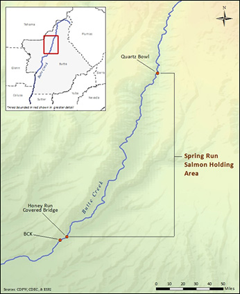 Figure 2. Map of Butte Creek monitoring locations. Snorkel surveys occurred from Quartz Bowl downstream to Honey Run Bridge weekly. Temp loggers were located at Quartz bowl and the USGS Butte Creek (BCK) guage. Also, flow was recorded at BCK. Click to enlarge in new window.