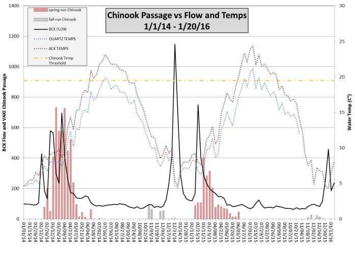 Adult Chinook upstream migration through Vaki riverwatch Adult Chinook upstream migration - Click to enlarge image in a new window
