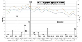 Temperature and number of SPRING-RUN Butte Creek from June 1- September 17, 2015 - click to enlare image in new window