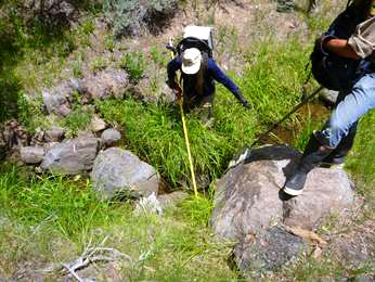 Figure 1- Backpack electrofishing and dip nets were used to capture fish from By-Day Creek, 2015 Figure 1- Backpack electrofishing and dip nets were used to capture fish from By-Day Creek, 2015