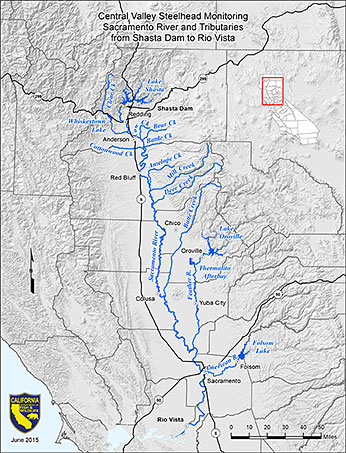 Central Valley Steelhead Monitor Map