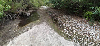 Big Sur River fish rescue and dry back site downstream of Andrew Molera State Park. Photo CDFW. Big Sur River fish rescue and dry back site downstream of Andrew Molera State Park. Photo CDFW.