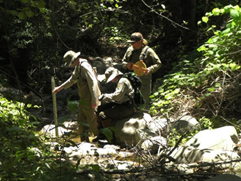 CDFW and District staff conducting habitat assessment CDFW and District staff conducting habitat assessment