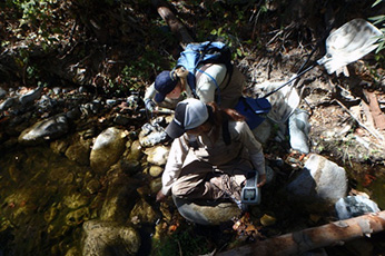 District and CDFW staff monitors water quality District and CDFW staff monitors water quality - Click to enlarge image in a new window