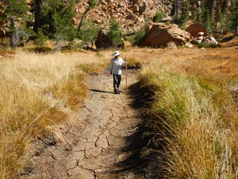 Dry breeding pond