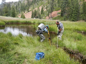 e-fishing non-native trout e-fishing non-native trout