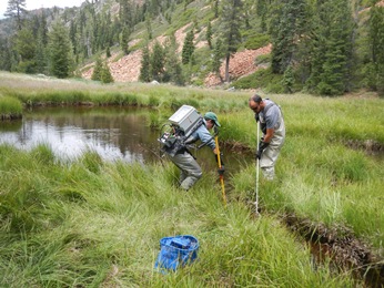 e-fishing non-native trout