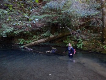 CDFW staff standing near pool in NF Noyo River, Mendocino County noting placement of temperature logger.
