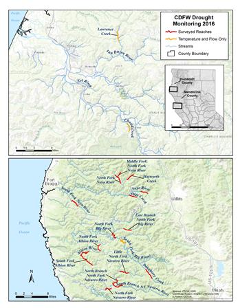 Figure 3. Extent of study area, including surveyed streams (juvenile snorkel dives) and stream temperature logger deployment locations in Humboldt and Mendocino counties. Top half of map shows temperatures and flow only streams and the bottom map shows all the the 18 reaches surveyed,son. Click to enlarge in new window.